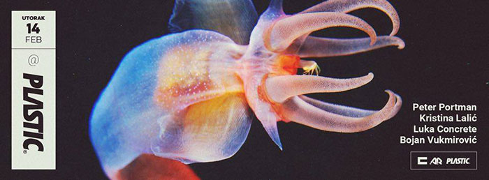 Dan zaljbljenih Peter Portman Concrete DJz Kristina Lalic Plastic