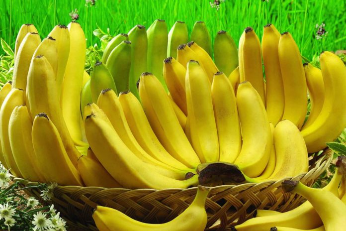 Prodavnica banana