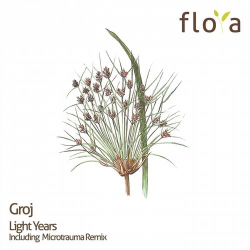 Groj Woollongong flora