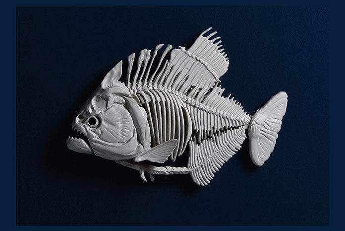 Roll-the-Drums-Halogenix-MC-Fox-DOT-Belgrade-Serbia Roll the Drums Halogenix MC Fox DOT Belgrade Serbia