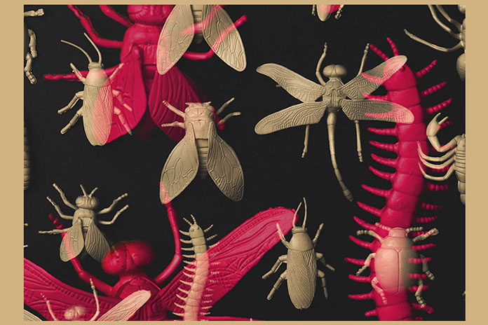 DOT-Kristijan-Molnar-Benjamin-Fröhlich DOT Kristijan Molnar Benjamin Fröhlich