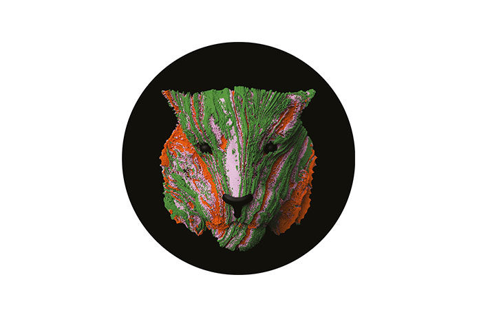 Marko Nastic Fallinhigher Easy Tiger A