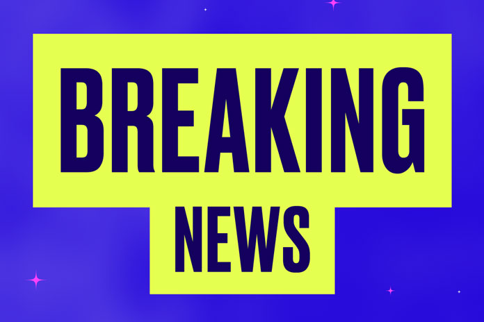 Fresh-Wave-10-objava-izvodjaca Fresh Wave 10 objava izvodjaca