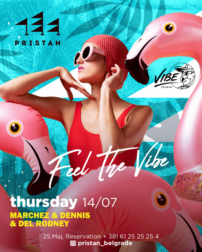 Feel The Vibe Flamingo Party Pristan